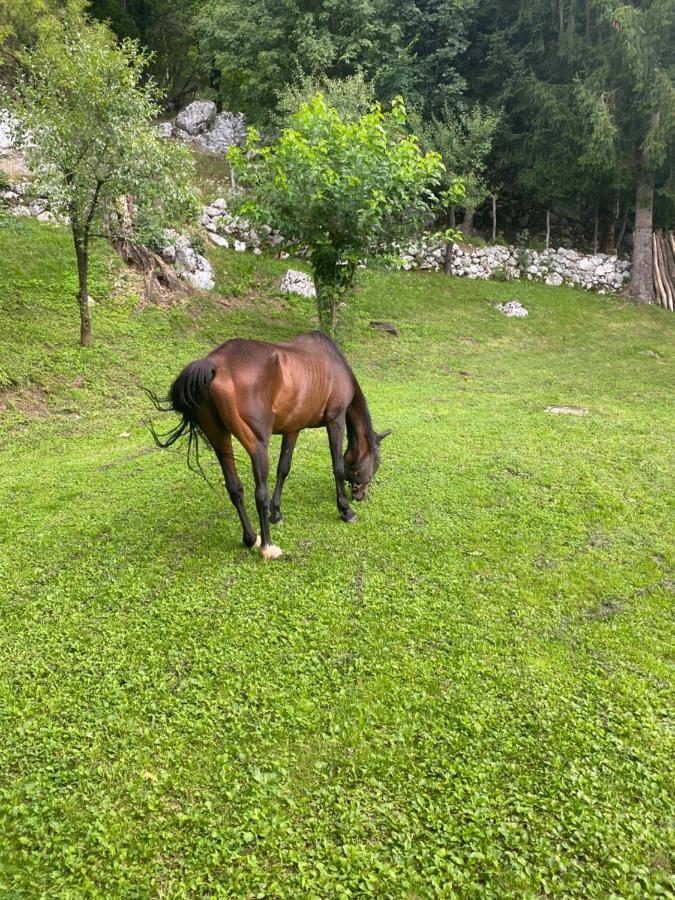 Casa vacanze Posestvo Tmzek Bovec